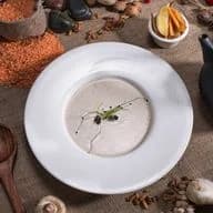 Cream of Chicken Soup